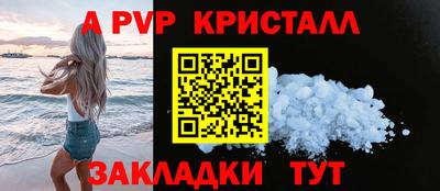 эйфоретик Кингисепп