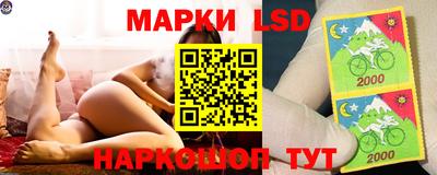 крисы Кинель