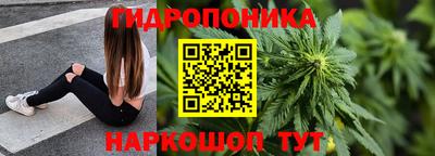крисы Кинель