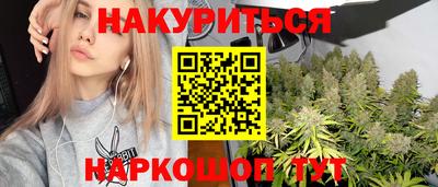 эйфоретик Кингисепп