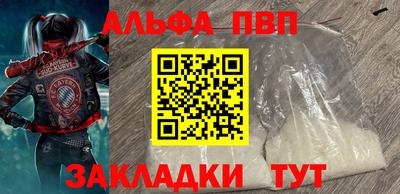эйфоретик Кингисепп