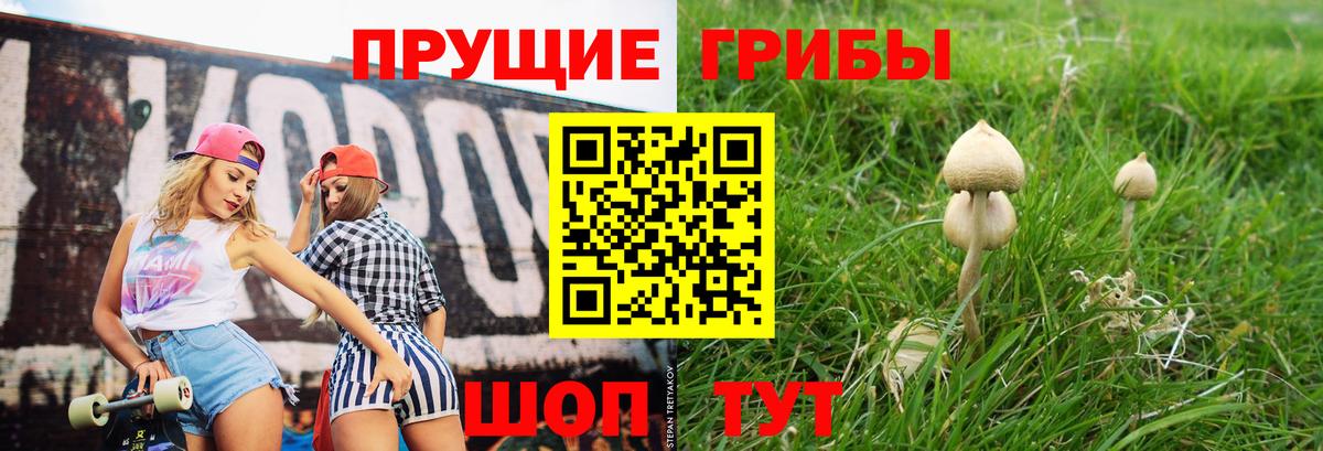 Псилоцибиновые грибы мицелий Костомукша